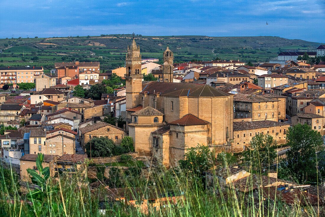 Elciego Village