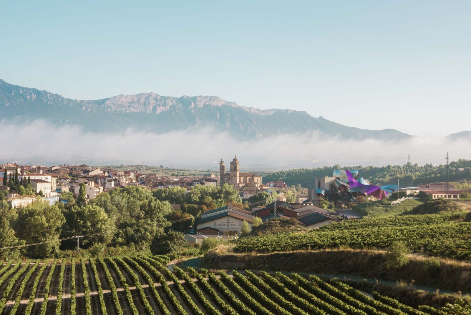 Rioja Wine Tour From Bilbao