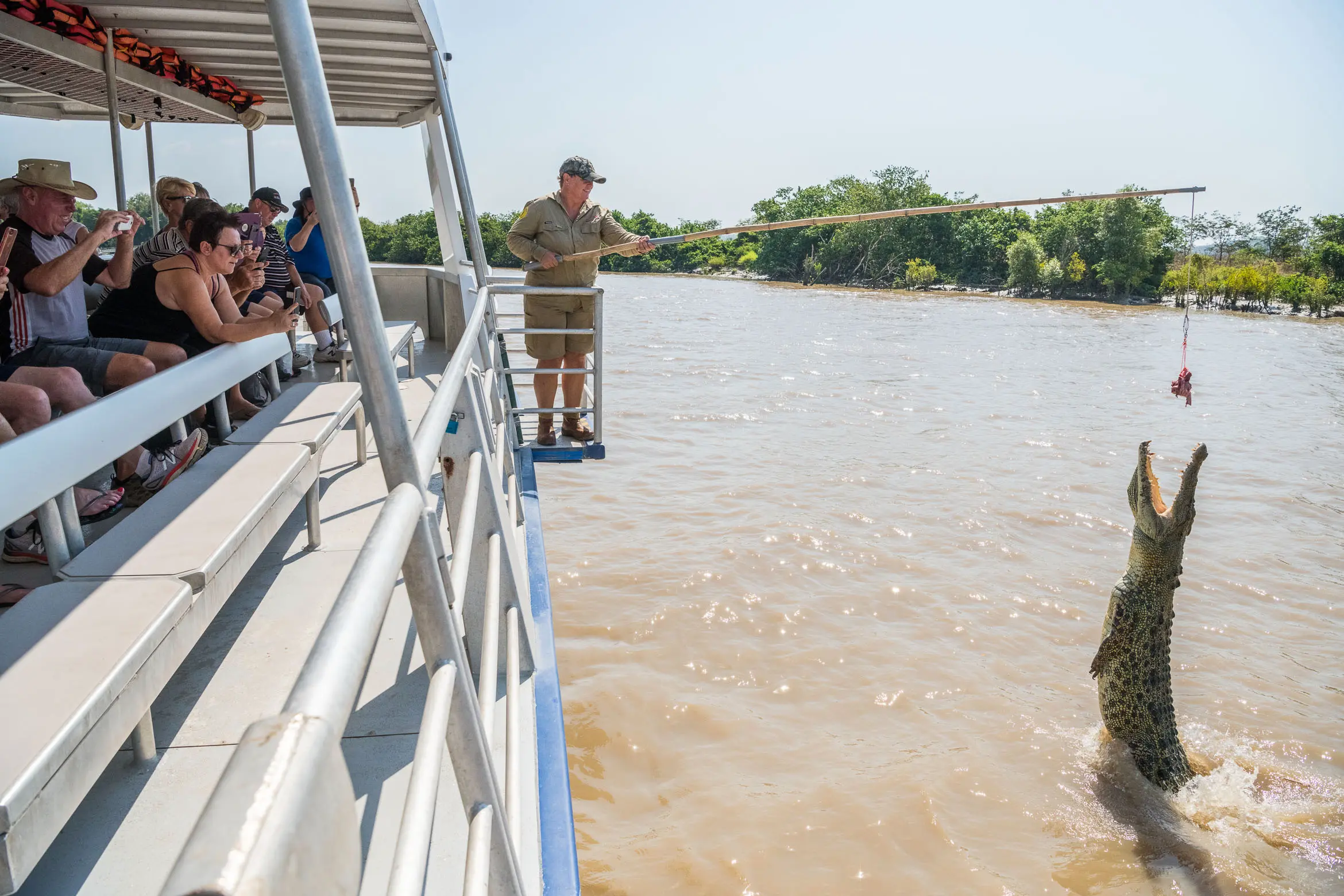 Your experience at Tarcoles River Crocodile Tour