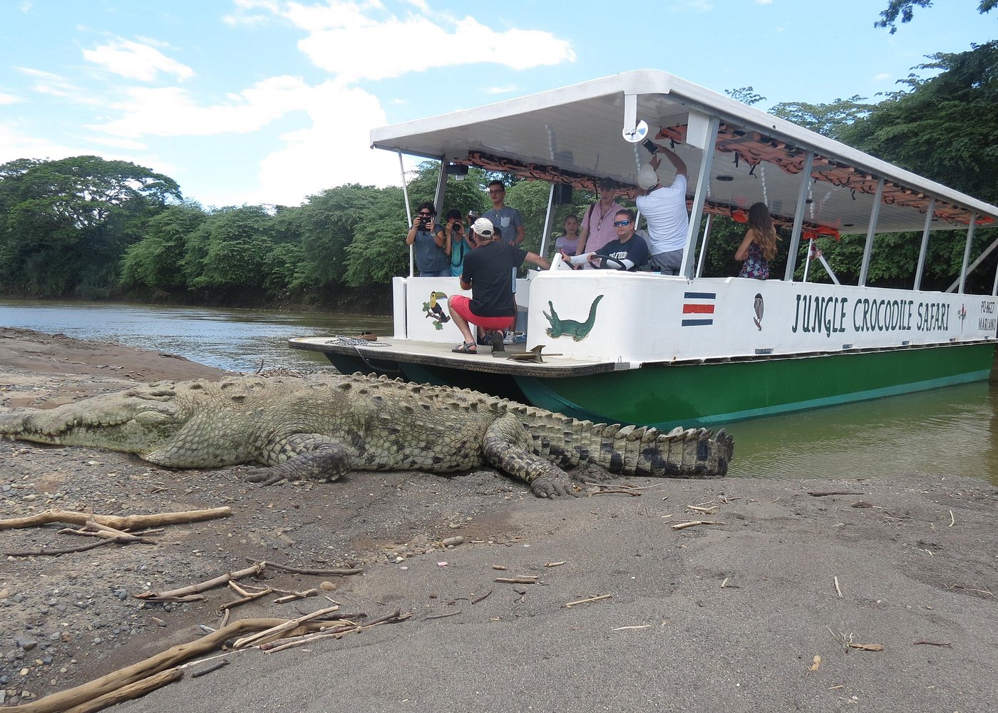 Tarcoles River Crocodile Tour
