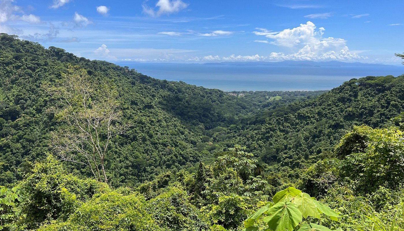 Carara National Park View
