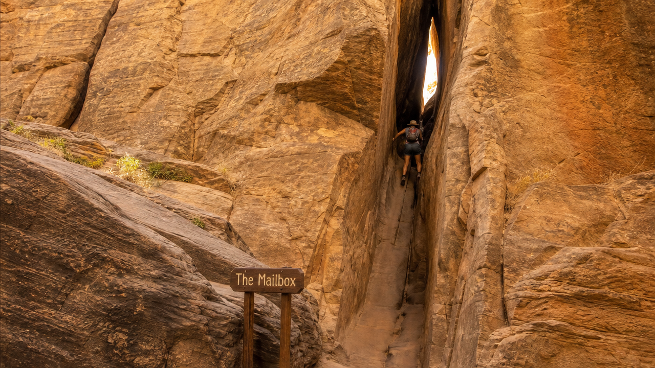 The Mailbox