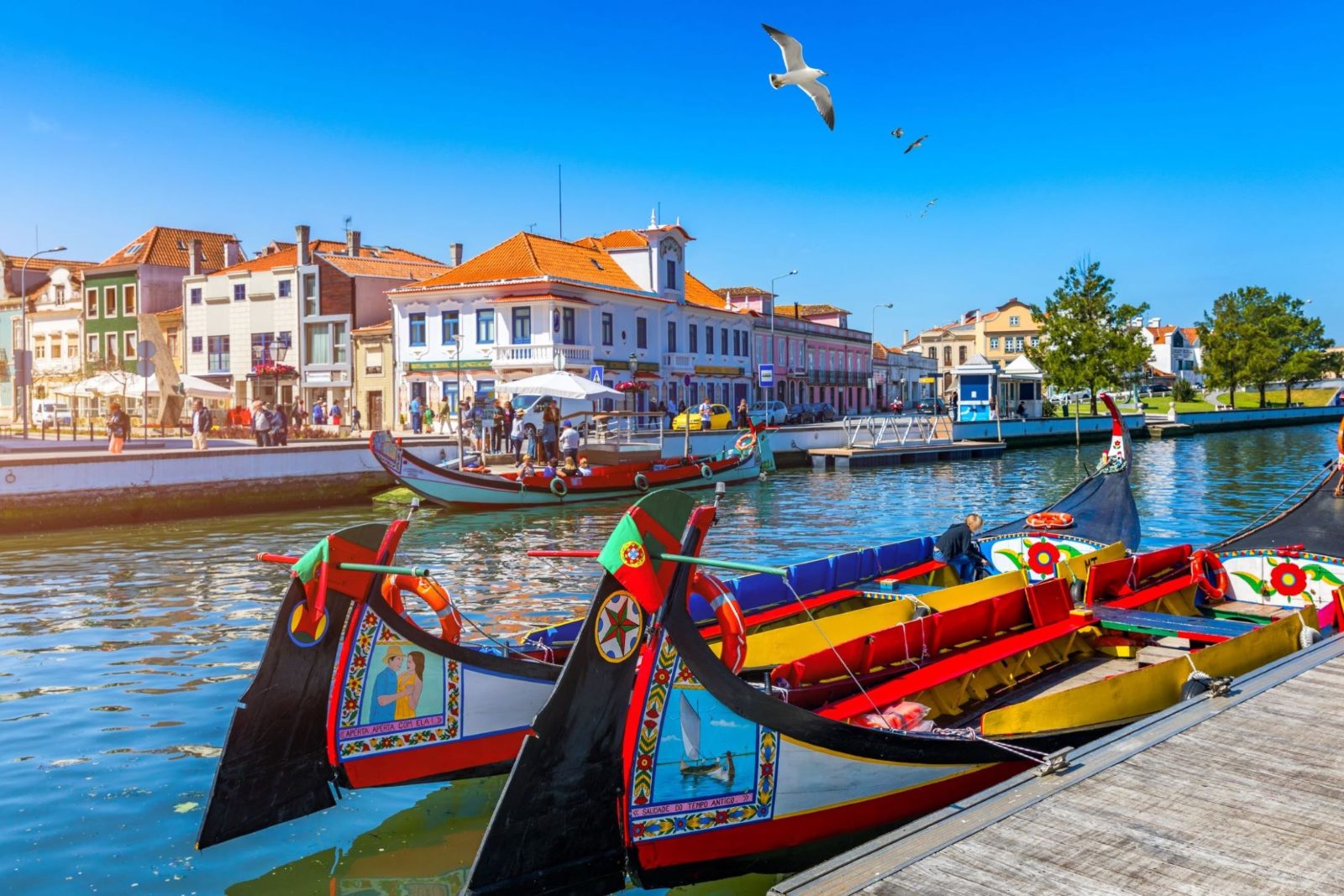 Moliceiro Boat Tour Aveiro