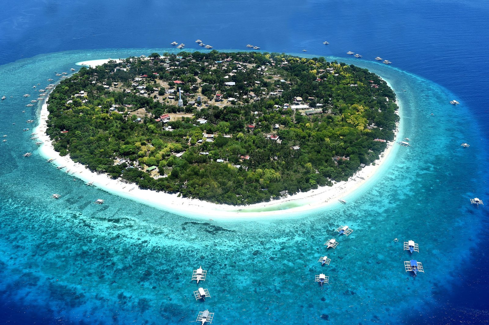 Balicasag Marine Sanctuary