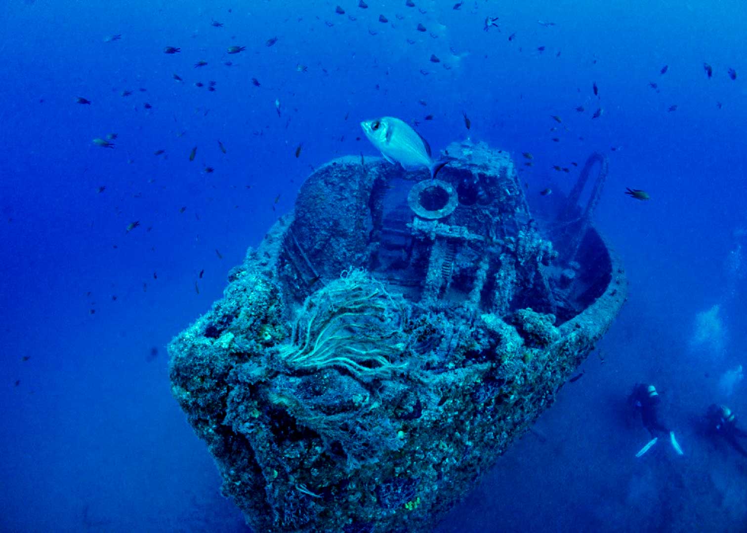 Your experience at Scuba Diving Alanya