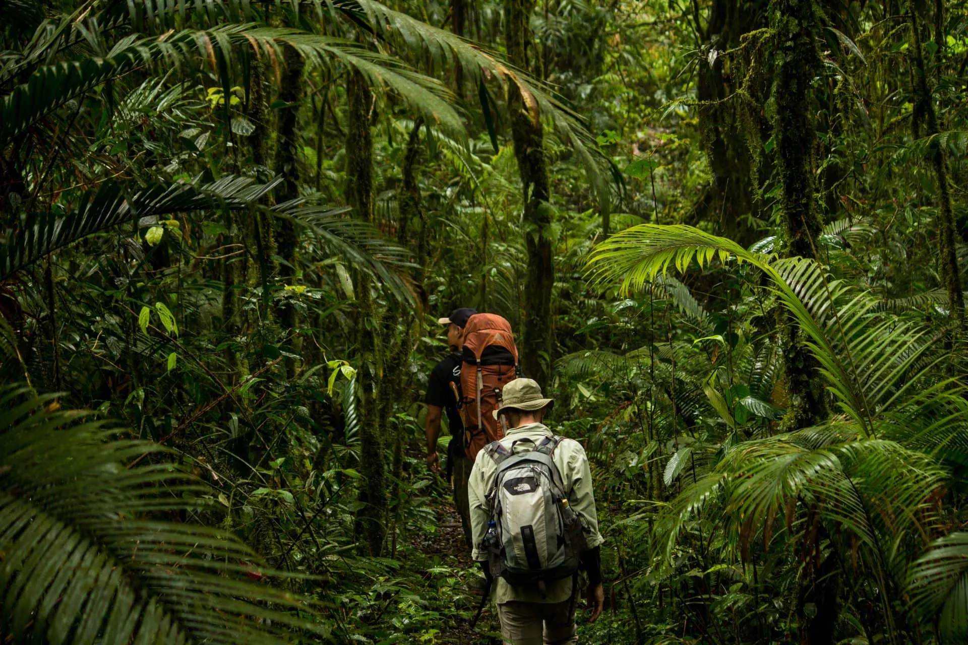 Jaguar Trail Hike
