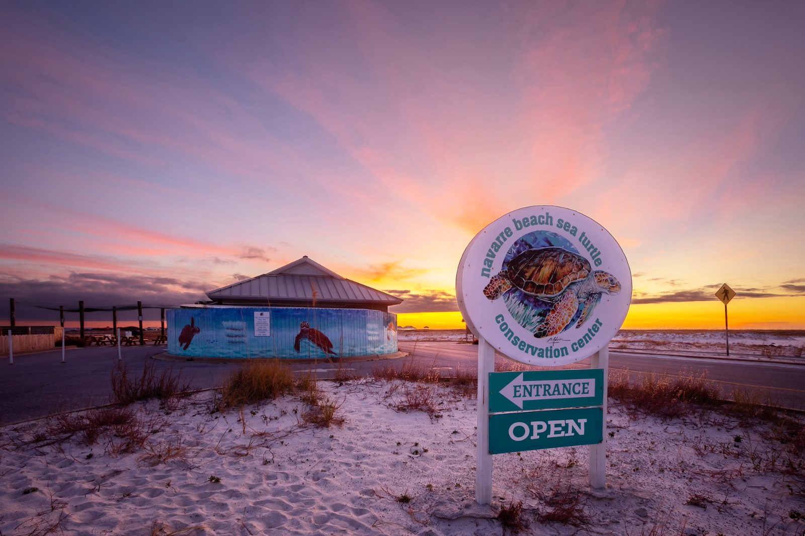Sea Turtle Conservancy