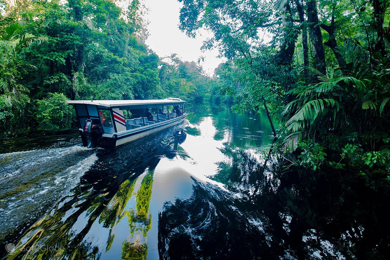 Your experience at Tortuguero Turtle Tour