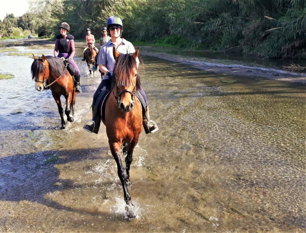 Horse Riding Malaga