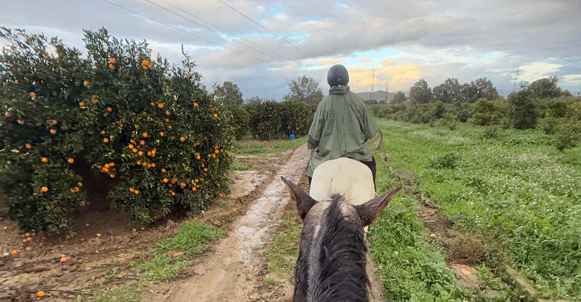 Horse Riding Malaga in Guadalhorce Valley