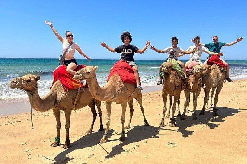 Tangier Camel Ride