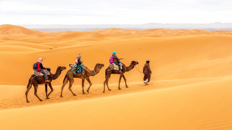 Your experience at Tangier Camel Ride