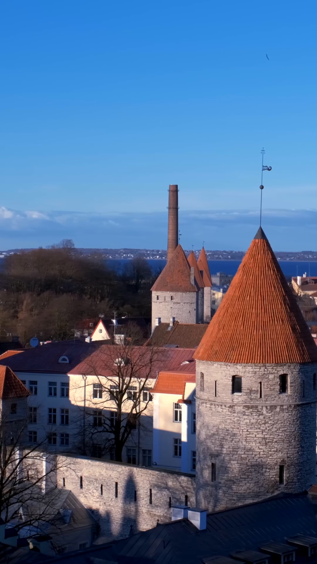 Explore Tallinn's Medieval Heart on Foot