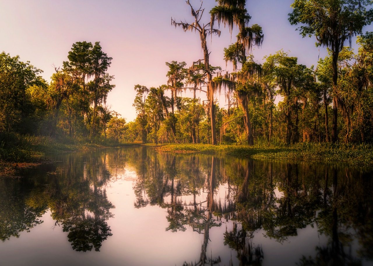 Bayou Coquille Trail