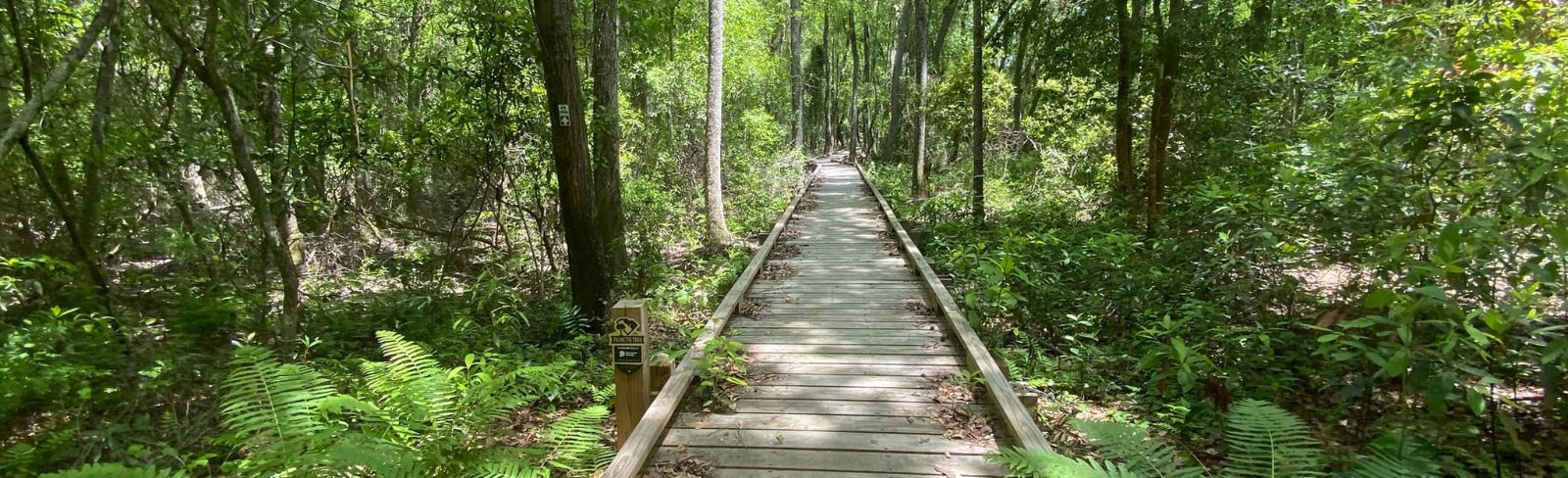 Boardwalk Hike
