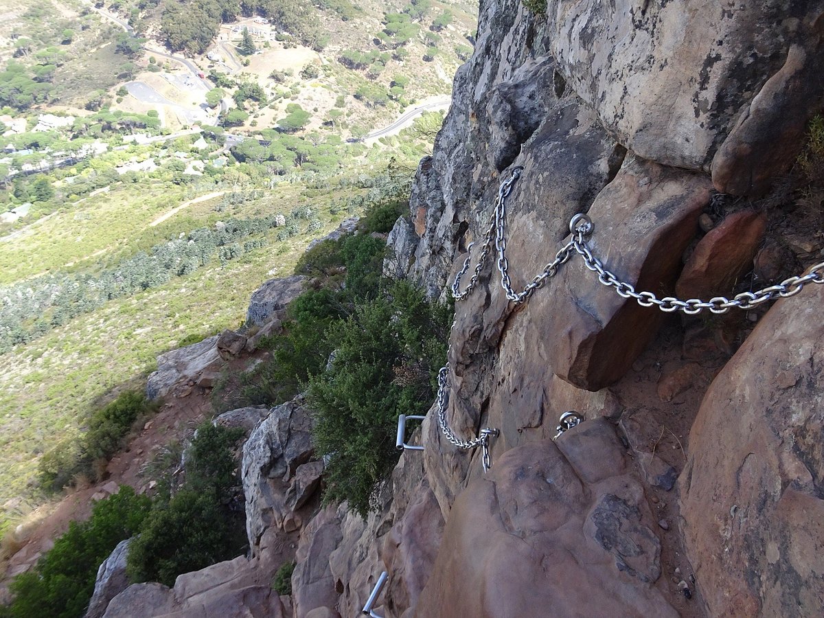 Your experience at Lions Head Sunrise Hike