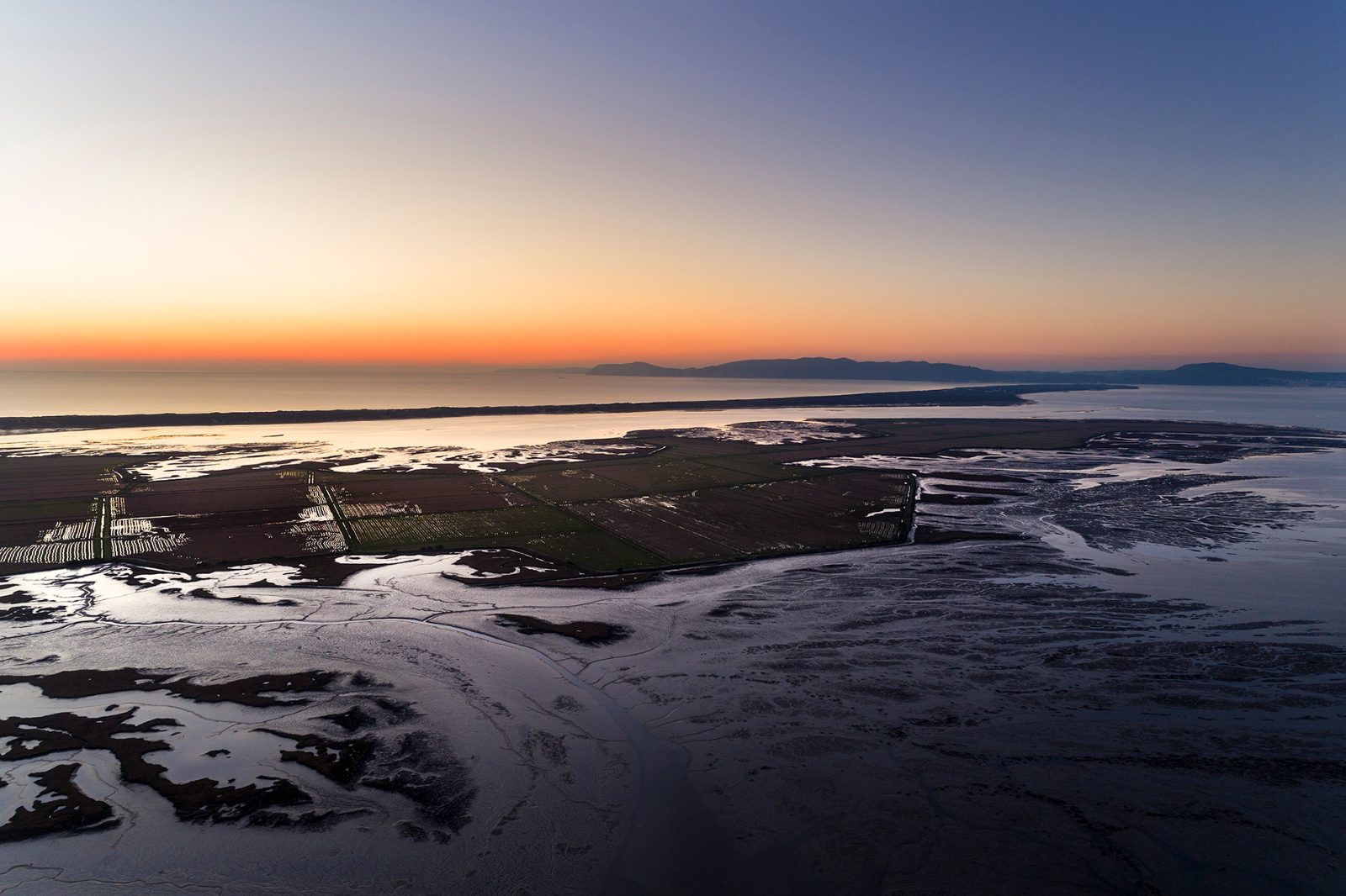 Sado Estuary