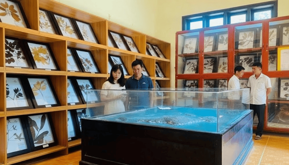 Marine Museum