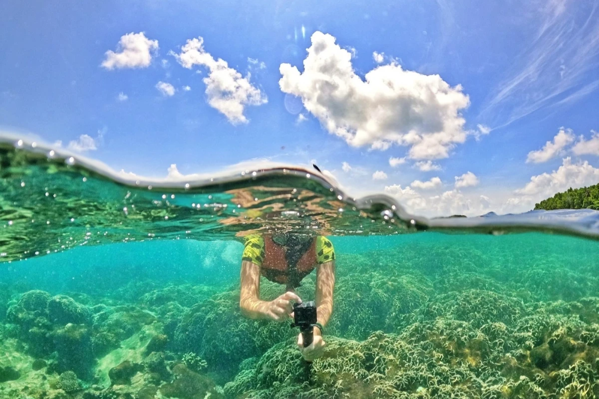 Your experience at Cham Island Snorkeling