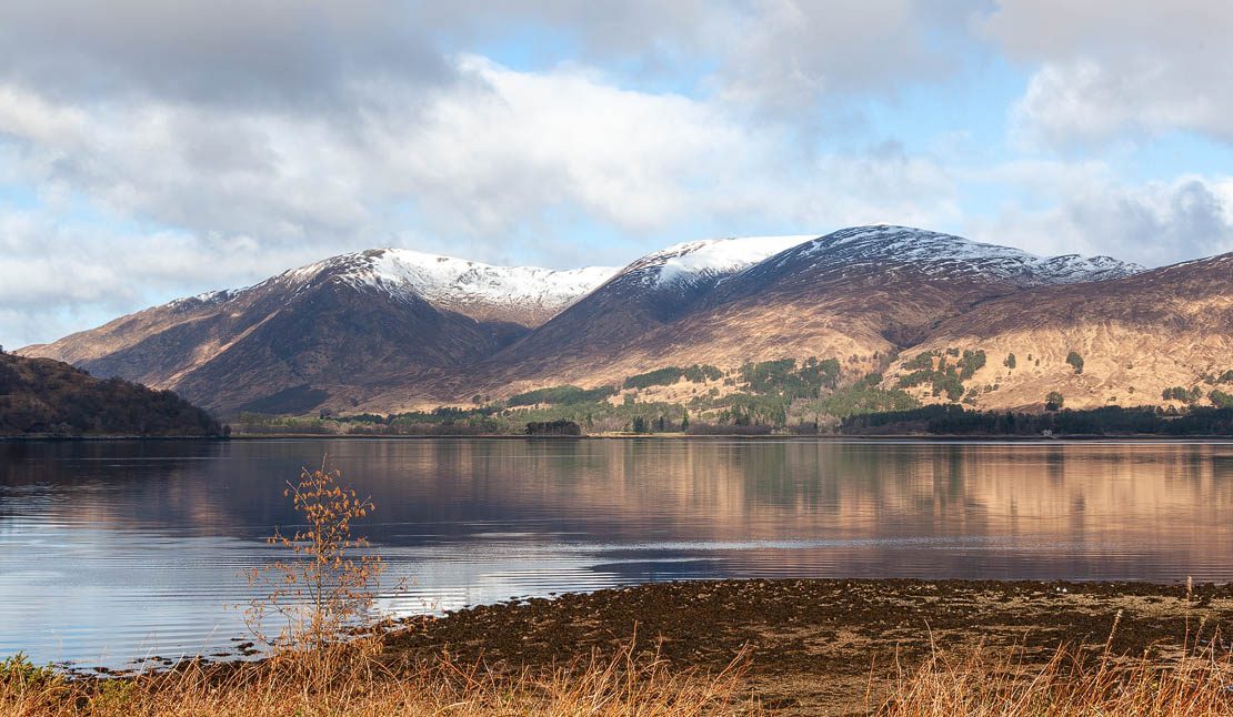 Fort William Seal Cruise on Loch Linnhe