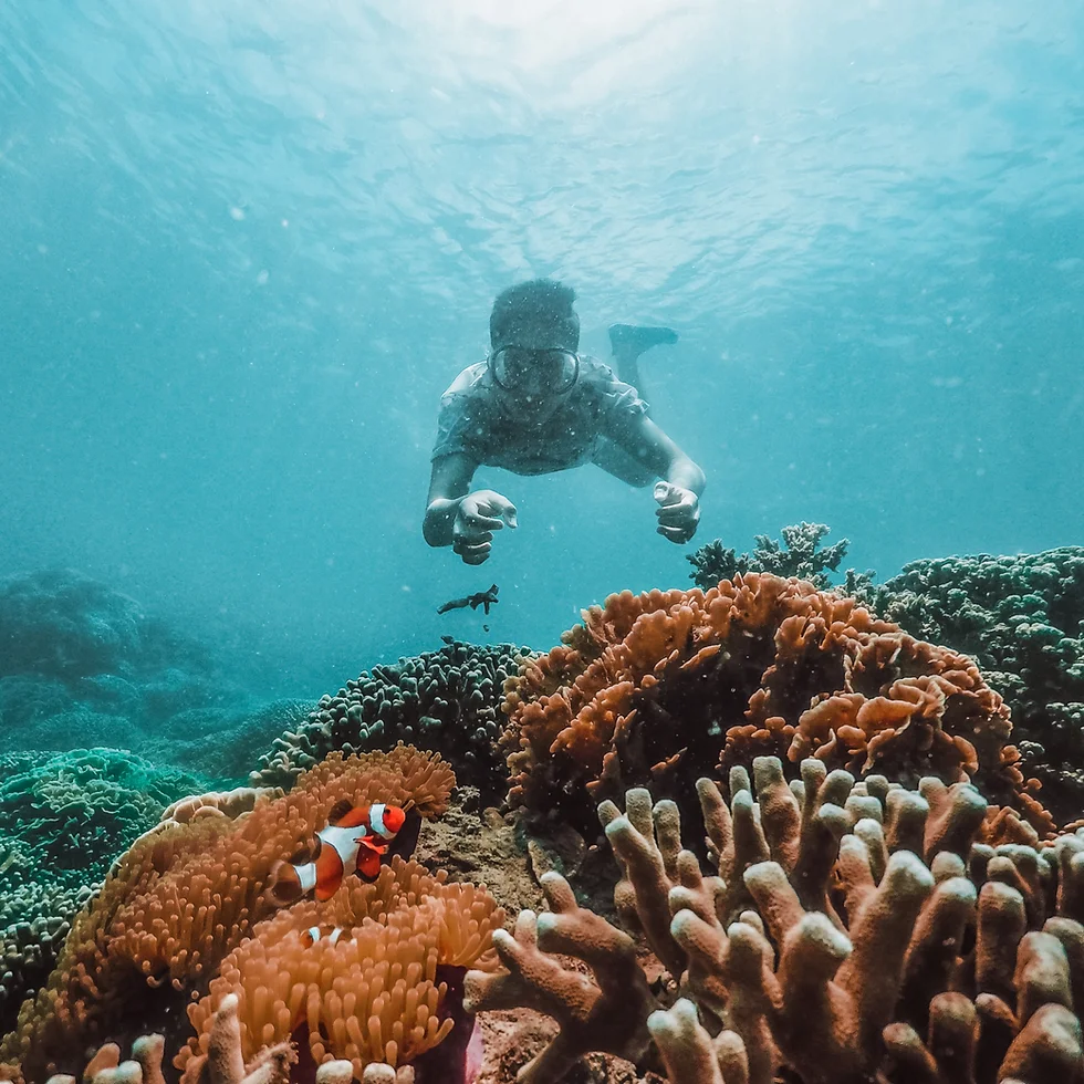 Your experience at Phu Quoc Snorkeling Tour