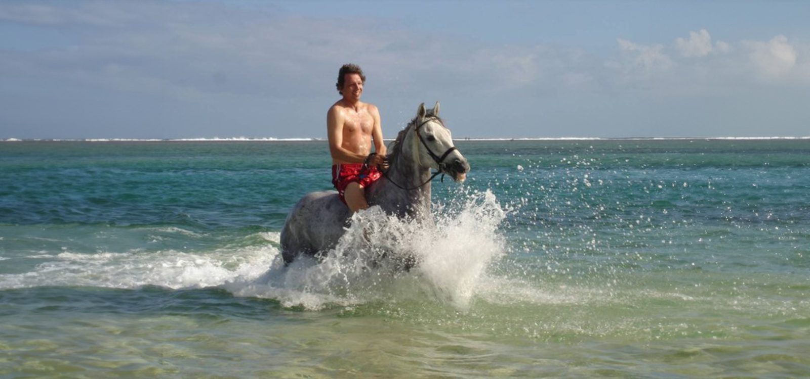 Swimming with Horses