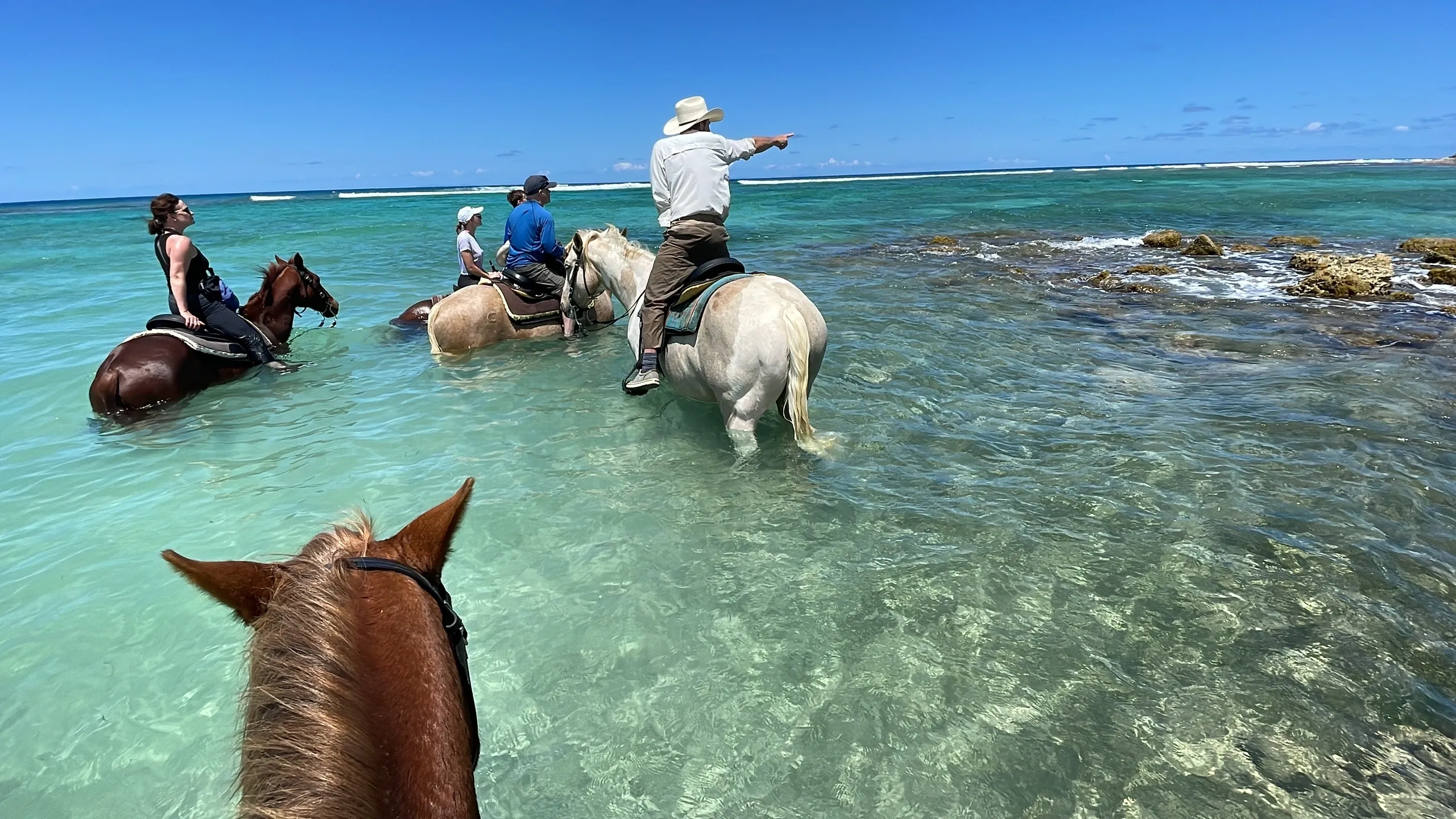 Your experience at Riambel Beach Horse Riding