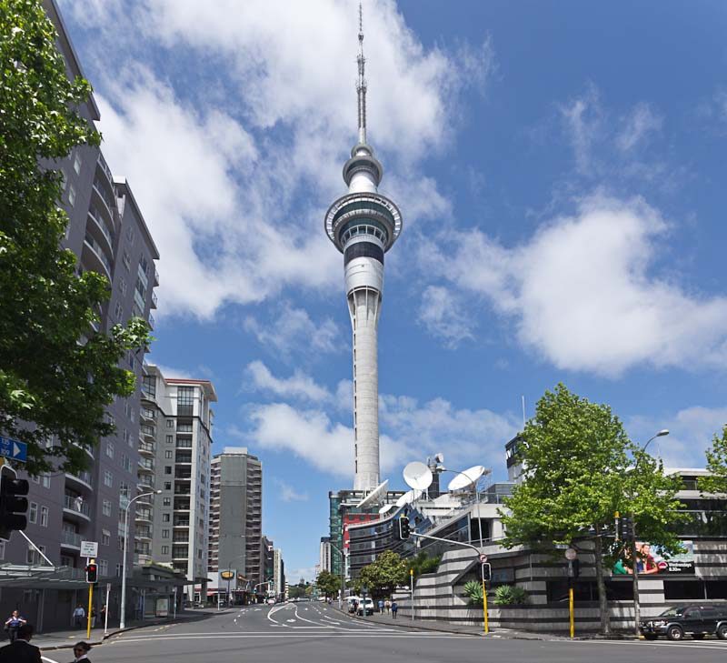 Sky Tower View