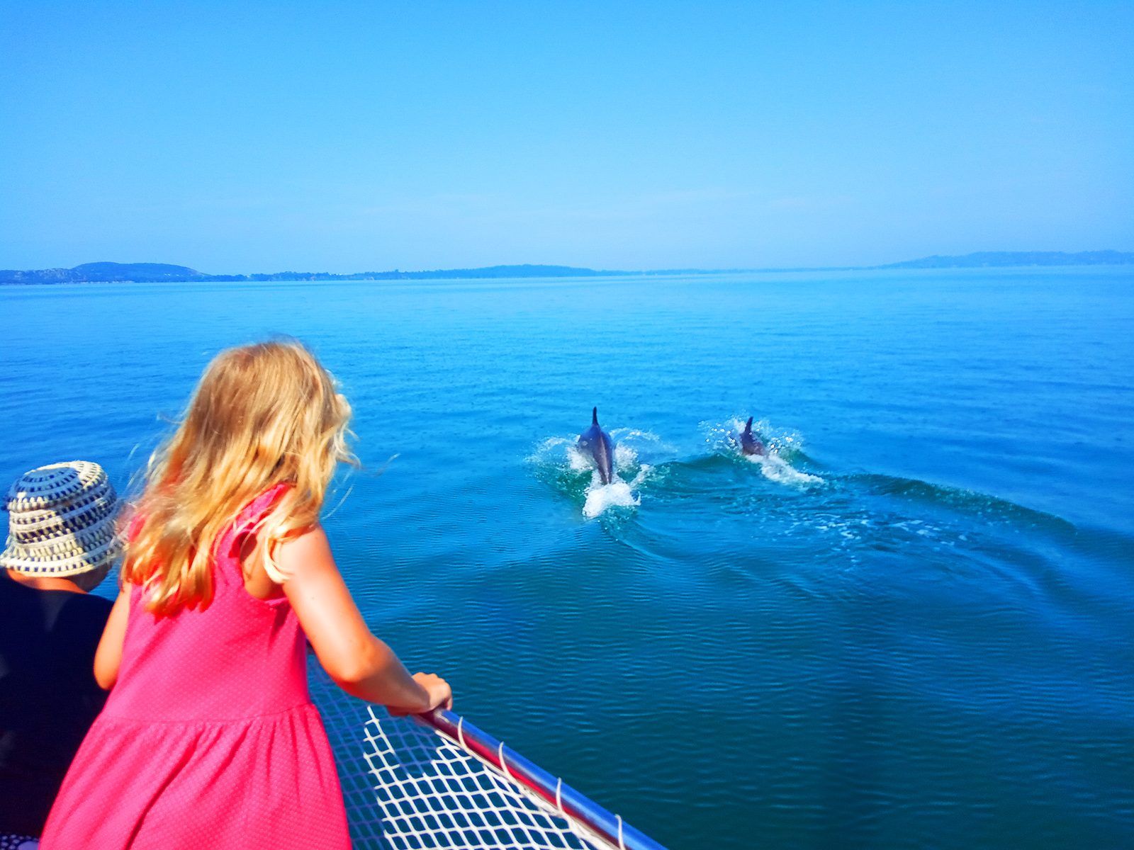 Preveza Dolphin Tour