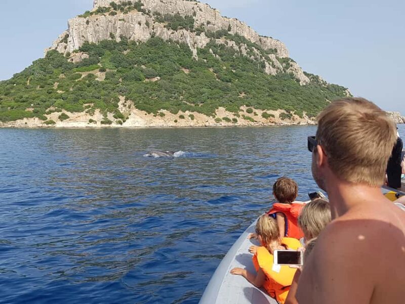 Your experience at Preveza Dolphin Tour