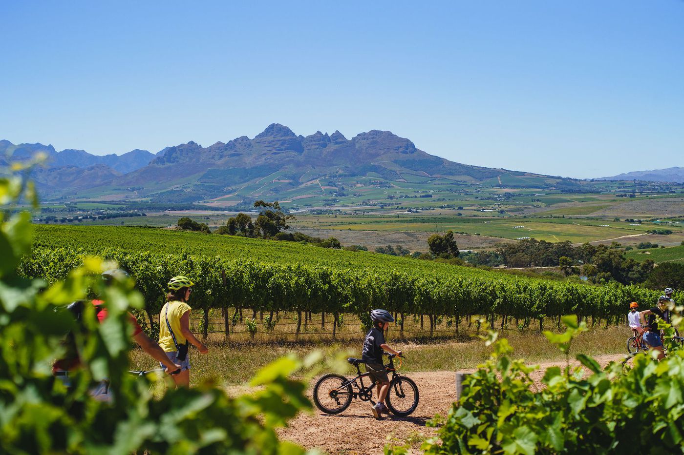 Stellenbosch Wine Bike Tour
