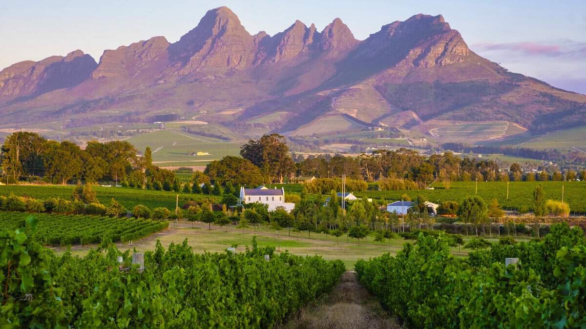 Mountain Backdrop