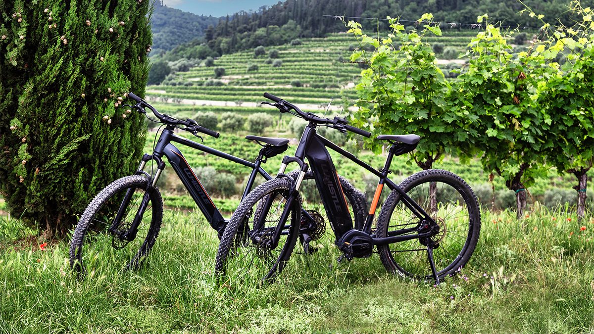 Your experience at Stellenbosch Wine Bike Tour
