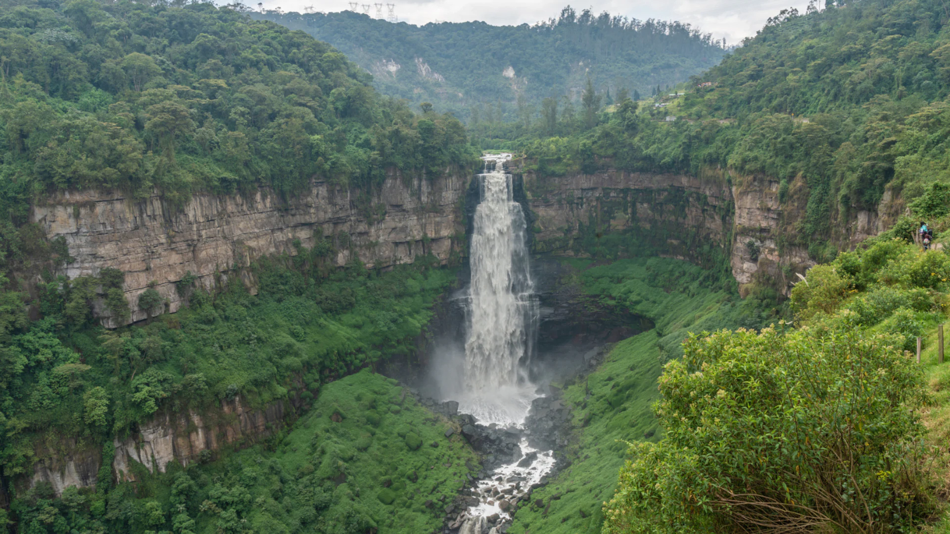 Cloud Forest Reserve