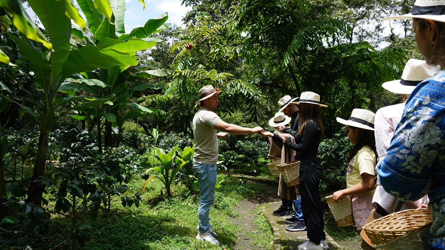 Bogota Coffee Farm Tour