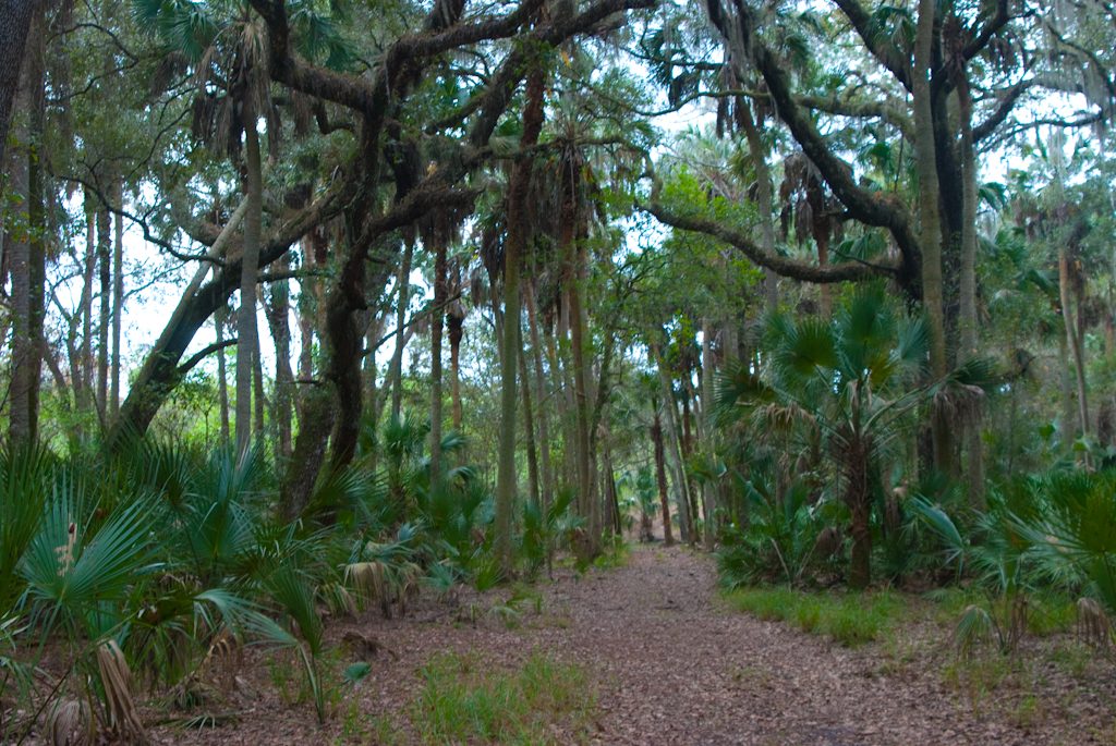 Pine Island Trail