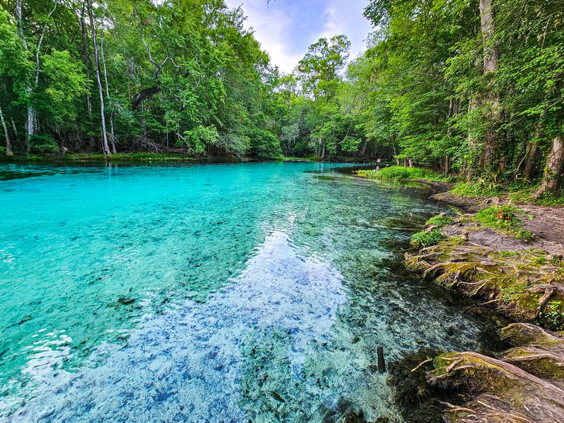 Blue Spring Kayak Tour Overview