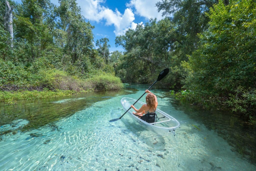 Your experience at Blue Spring Kayak Tour