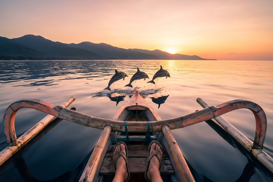 Your experience at Dolphin Watching Bohol