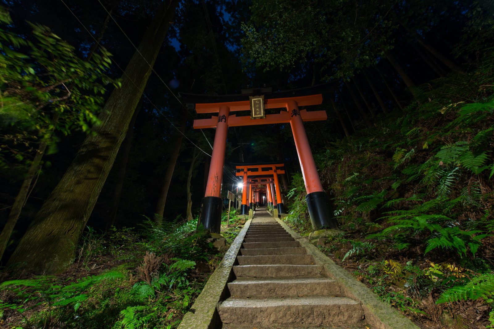 Fushimi Inari Night Tour