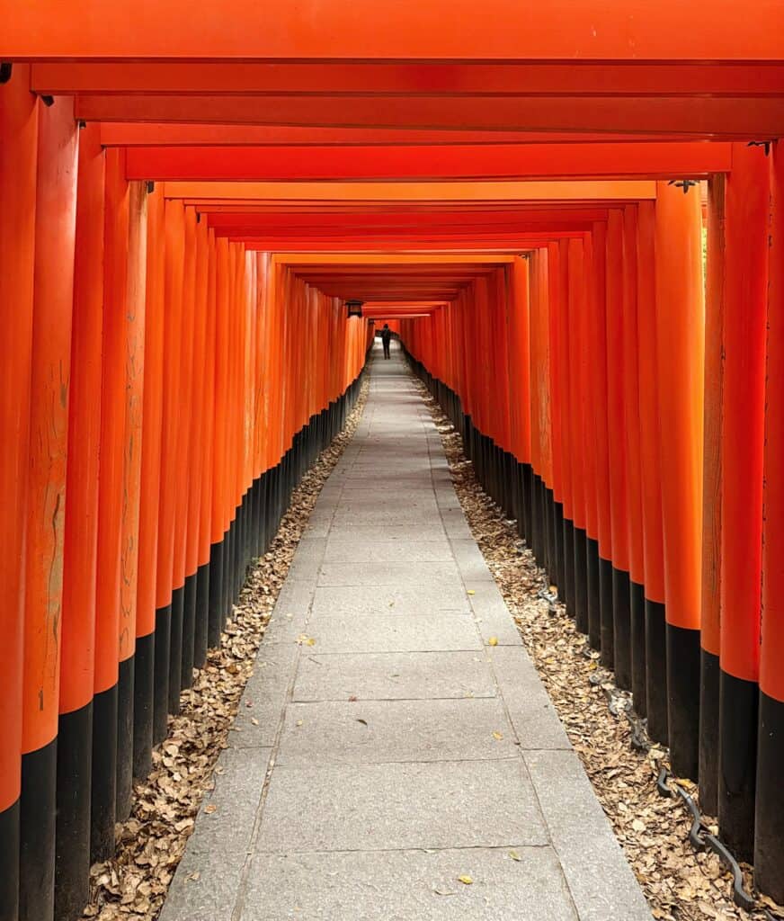 Fushimi Inari Night Tour Experience