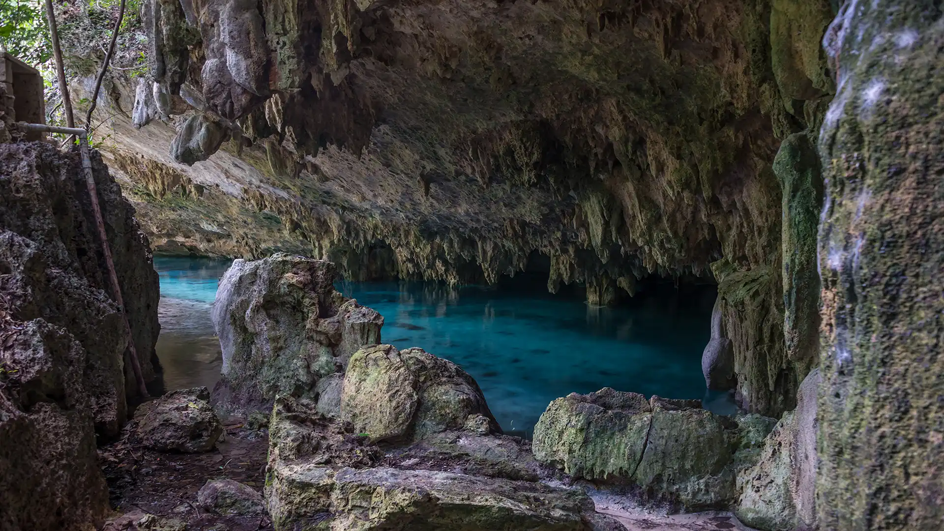 Cenote Pet Cemetery