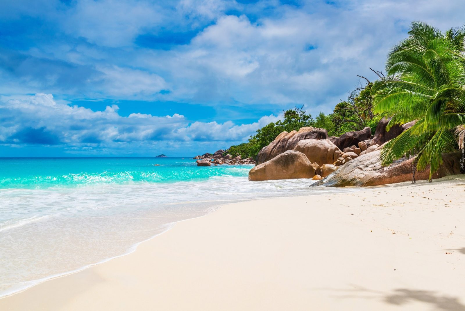 Anse José Beach