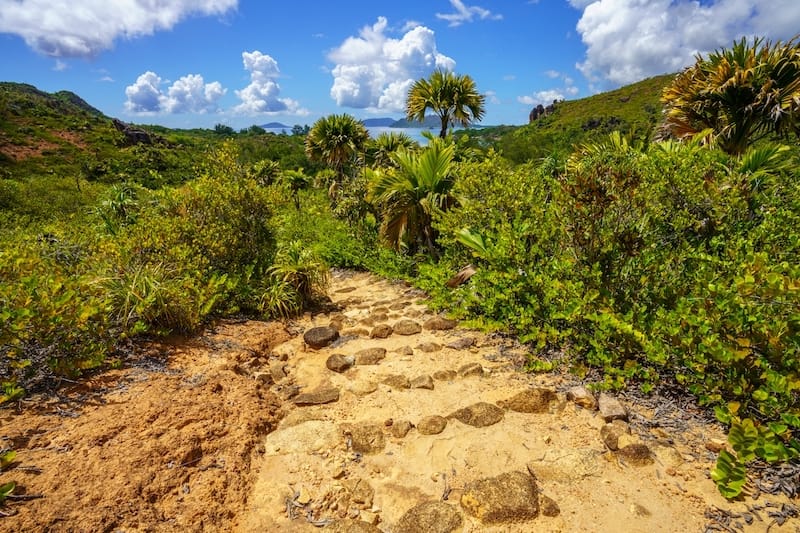 Dr. Seuss Trail