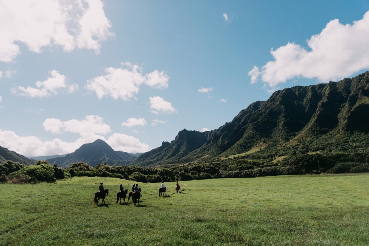 Your experience at Oahu Jungle Tour