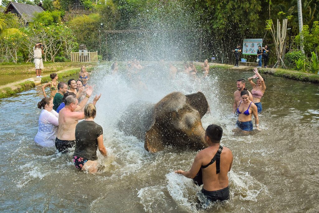 Your experience at Elephant Bathing Krabi