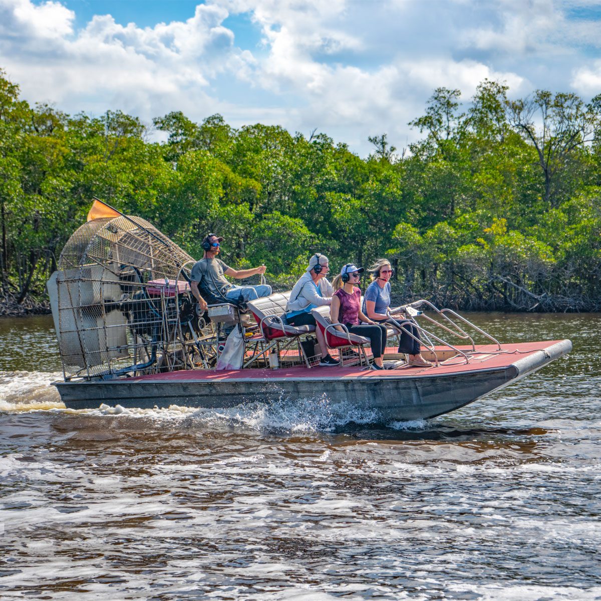 Everglades Mangrove Tour