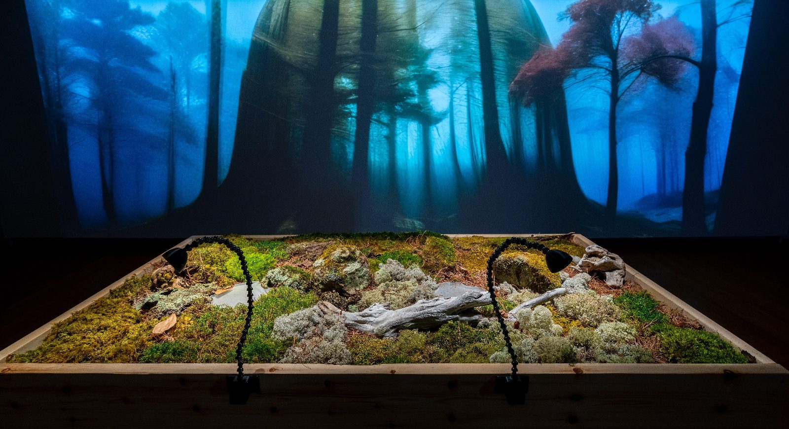 Olfactory Journey Room