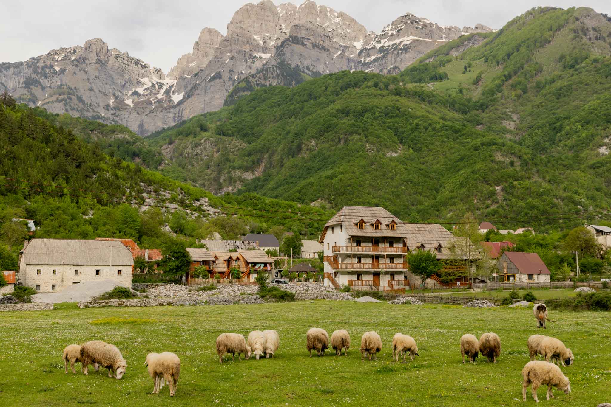 Theth Guesthouses