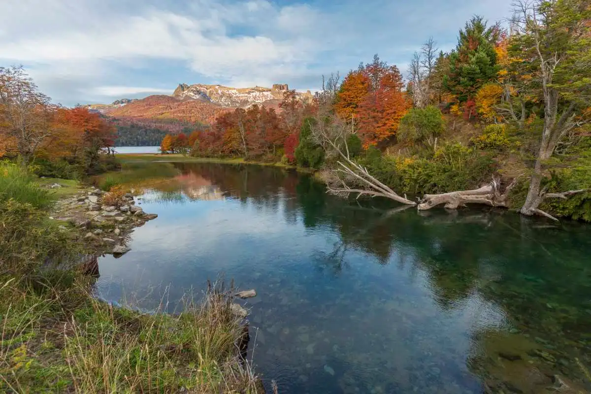 Lago Falkner